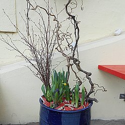 garten1