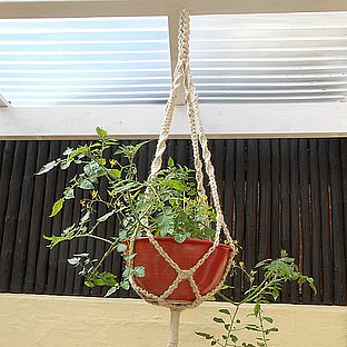 haengeampel