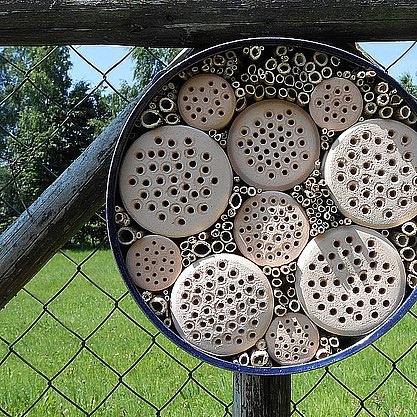 insekten